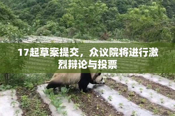 17起草案提交，众议院将进行激烈辩论与投票