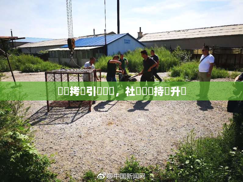 緊縛拷問引發熱議，社會輿論持續升溫
