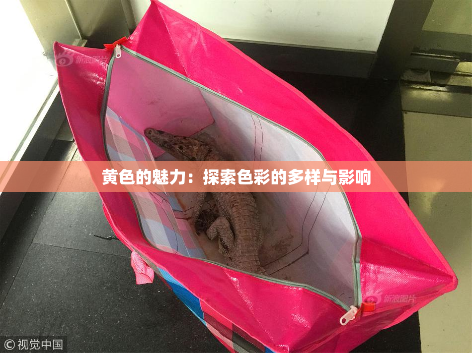 黄色的魅力：探索色彩的多样与影响