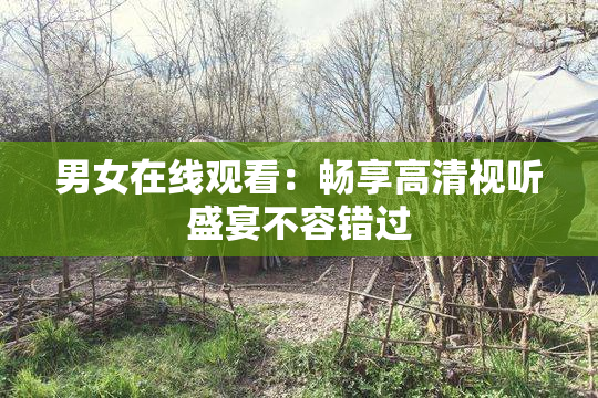 男女在线观看：畅享高清视听盛宴不容错过