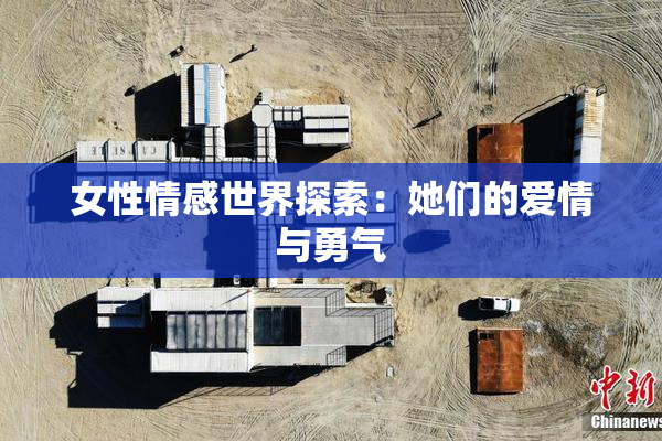 女性情感世界探索：她们的爱情与勇气