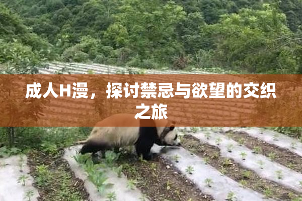 成人H漫，探讨禁忌与欲望的交织之旅
