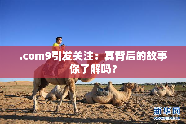 .com9引发关注：其背后的故事你了解吗？