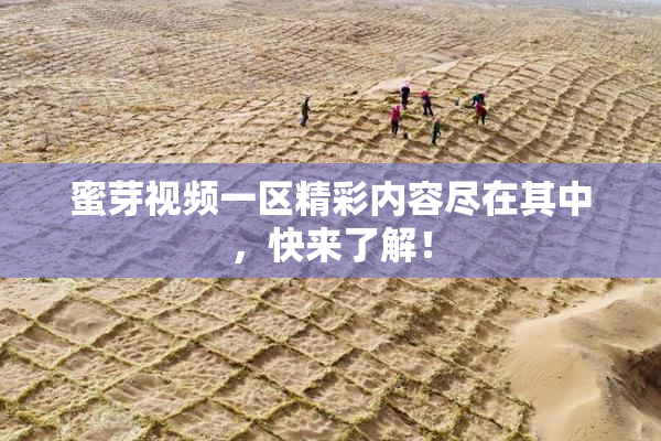 蜜芽视频一区精彩内容尽在其中，快来了解！