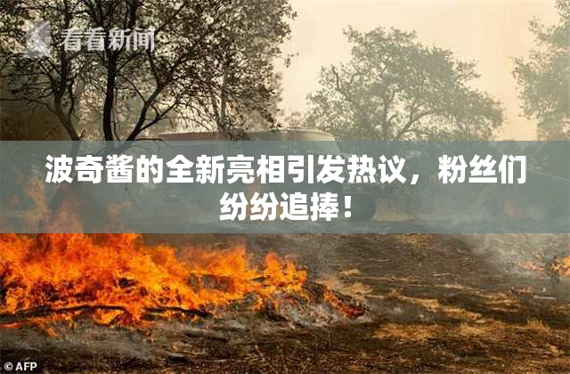 波奇酱的全新亮相引发热议，粉丝们纷纷追捧！