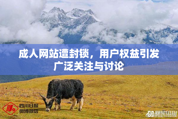 成人网站遭封锁，用户权益引发广泛关注与讨论