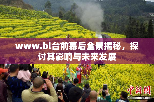 www.bl台前幕后全景揭秘，探讨其影响与未来发展