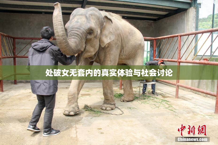 处破女无套内的真实体验与社会讨论