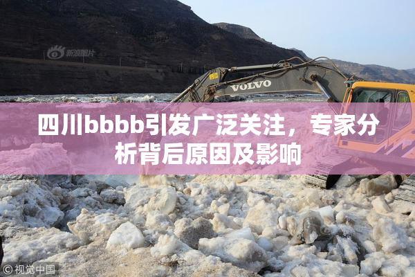 四川bbbb引发广泛关注，专家分析背后原因及影响