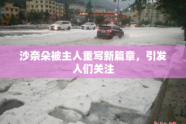 沙奈朵被主人重写新篇章，引发人们关注