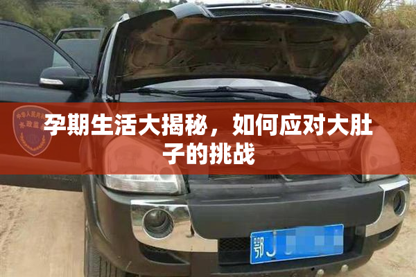 孕期生活大揭秘，如何应对大肚子的挑战