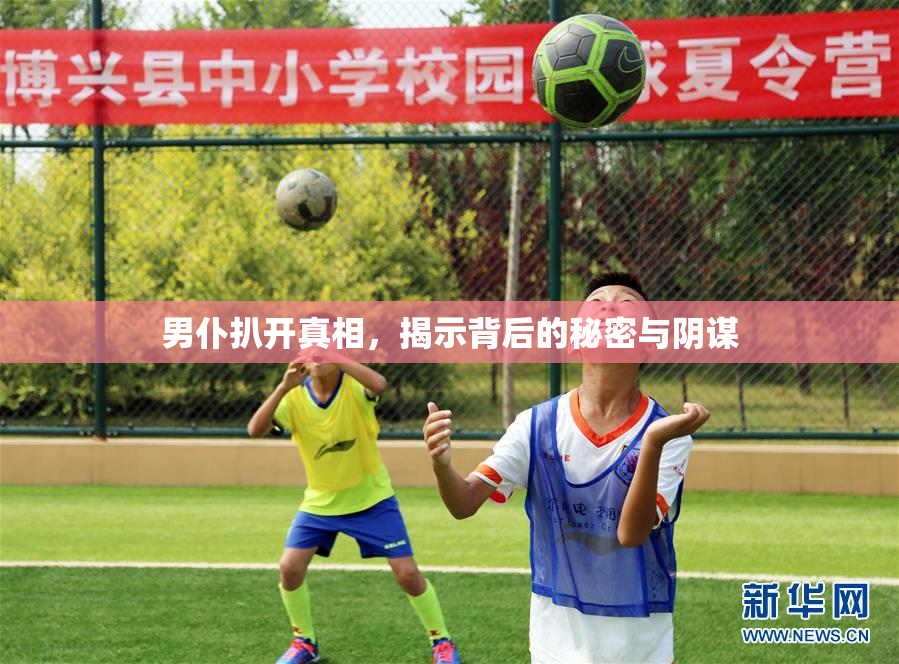 男仆扒开真相，揭示背后的秘密与阴谋