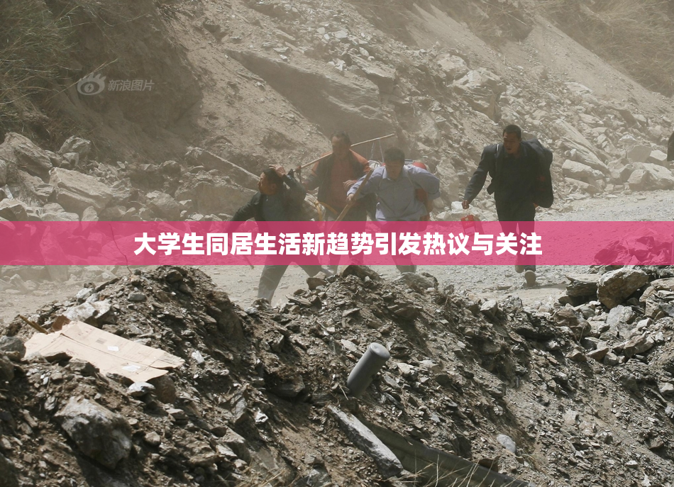 大学生同居生活新趋势引发热议与关注