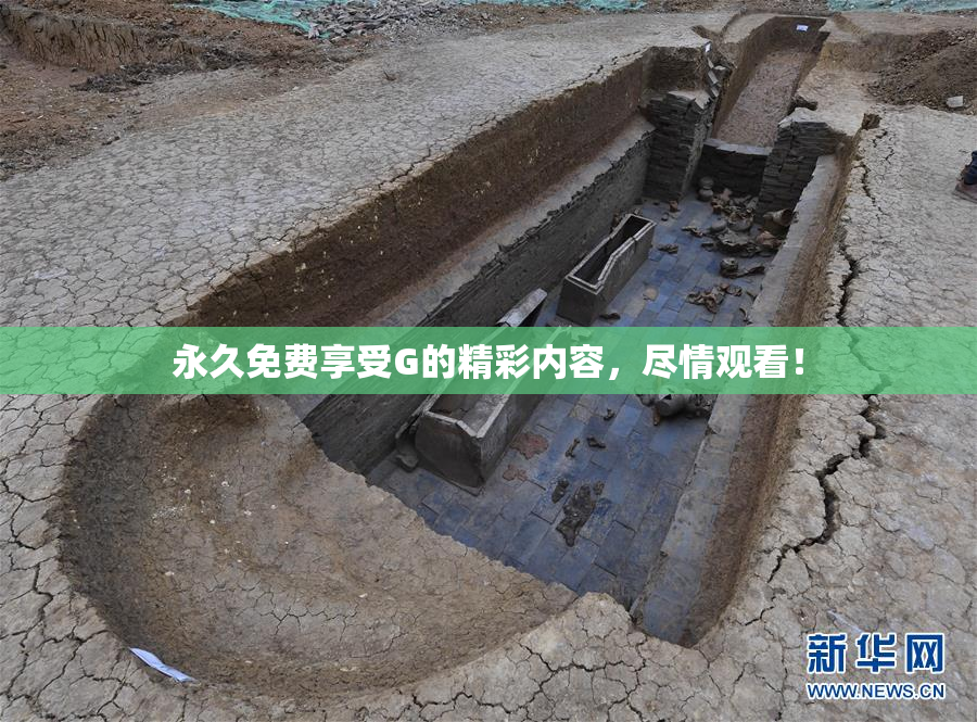 永久免费享受G的精彩内容，尽情观看！