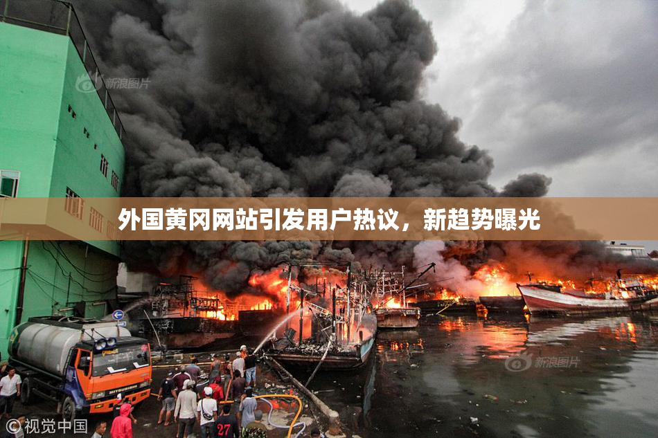 外国黄冈网站引发用户热议，新趋势曝光