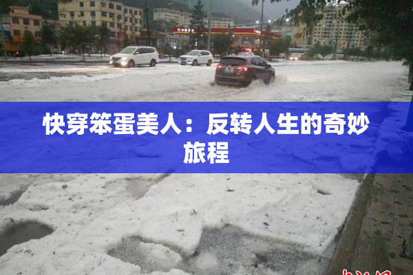 快穿笨蛋美人：反转人生的奇妙旅程