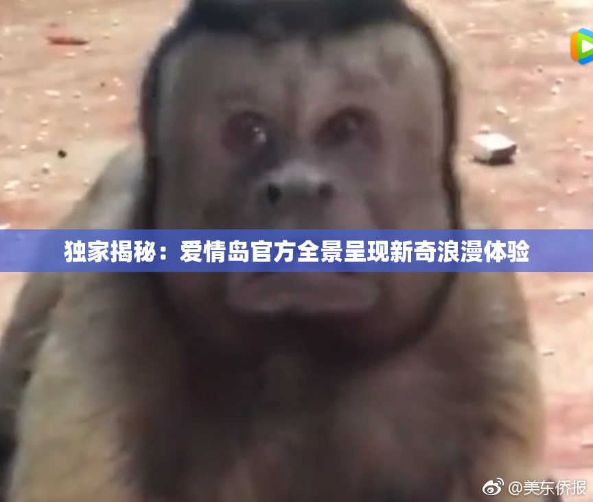 独家揭秘：爱情岛官方全景呈现新奇浪漫体验