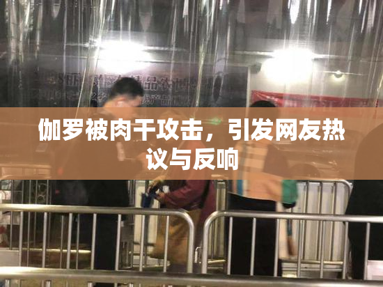 伽罗被肉干攻击，引发网友热议与反响