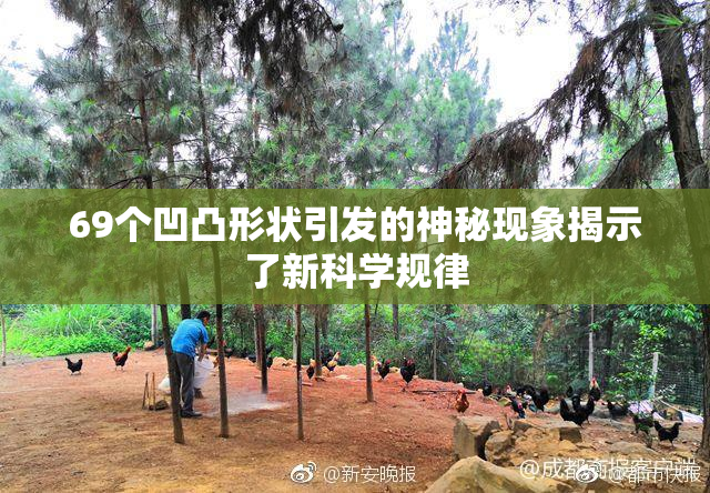 69个凹凸形状引发的神秘现象揭示了新科学规律