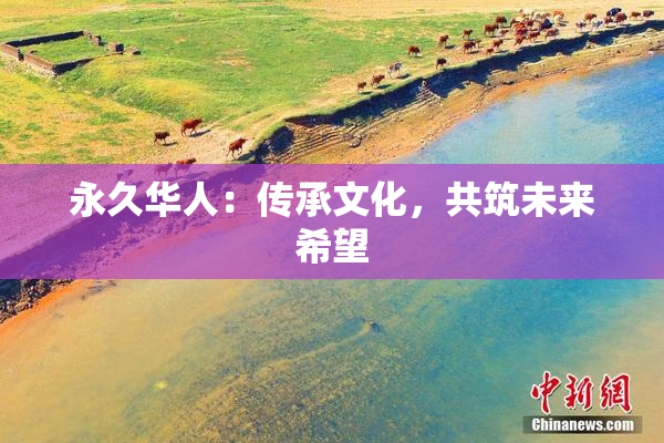 永久华人：传承文化，共筑未来希望