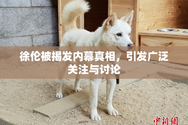 徐伦被揭发内幕真相，引发广泛关注与讨论