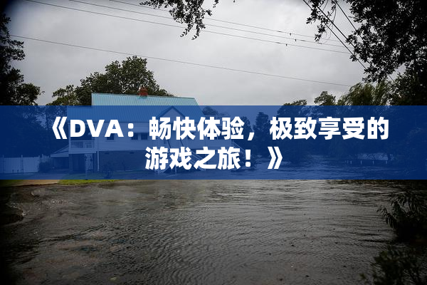 《DVA：畅快体验，极致享受的游戏之旅！》