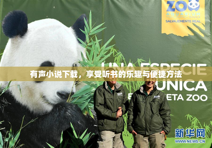 有声小说下载，享受听书的乐趣与便捷方法