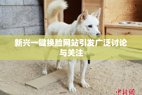 新兴一键换脸网站引发广泛讨论与关注
