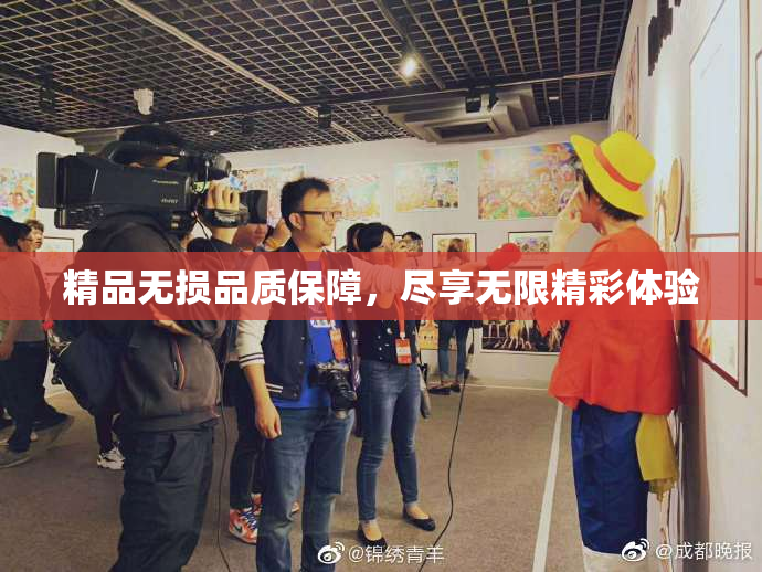 精品无损品质保障，尽享无限精彩体验