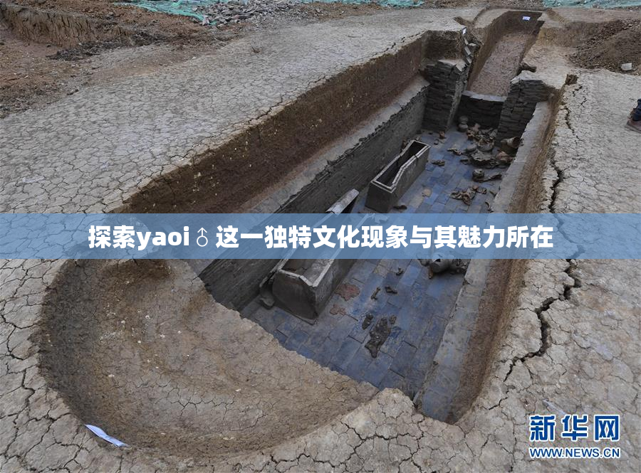 探索yaoi♂这一独特文化现象与其魅力所在