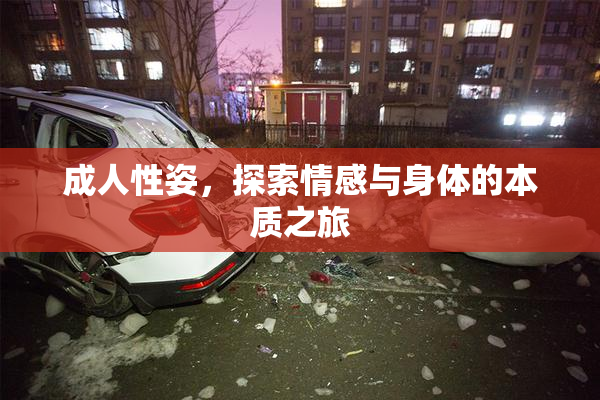 成人性姿，探索情感与身体的本质之旅