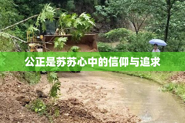 公正是苏苏心中的信仰与追求