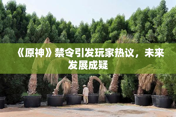 《原神》禁令引发玩家热议，未来发展成疑