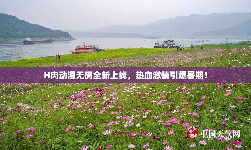 H肉动漫无码全新上线，热血激情引爆暑期！