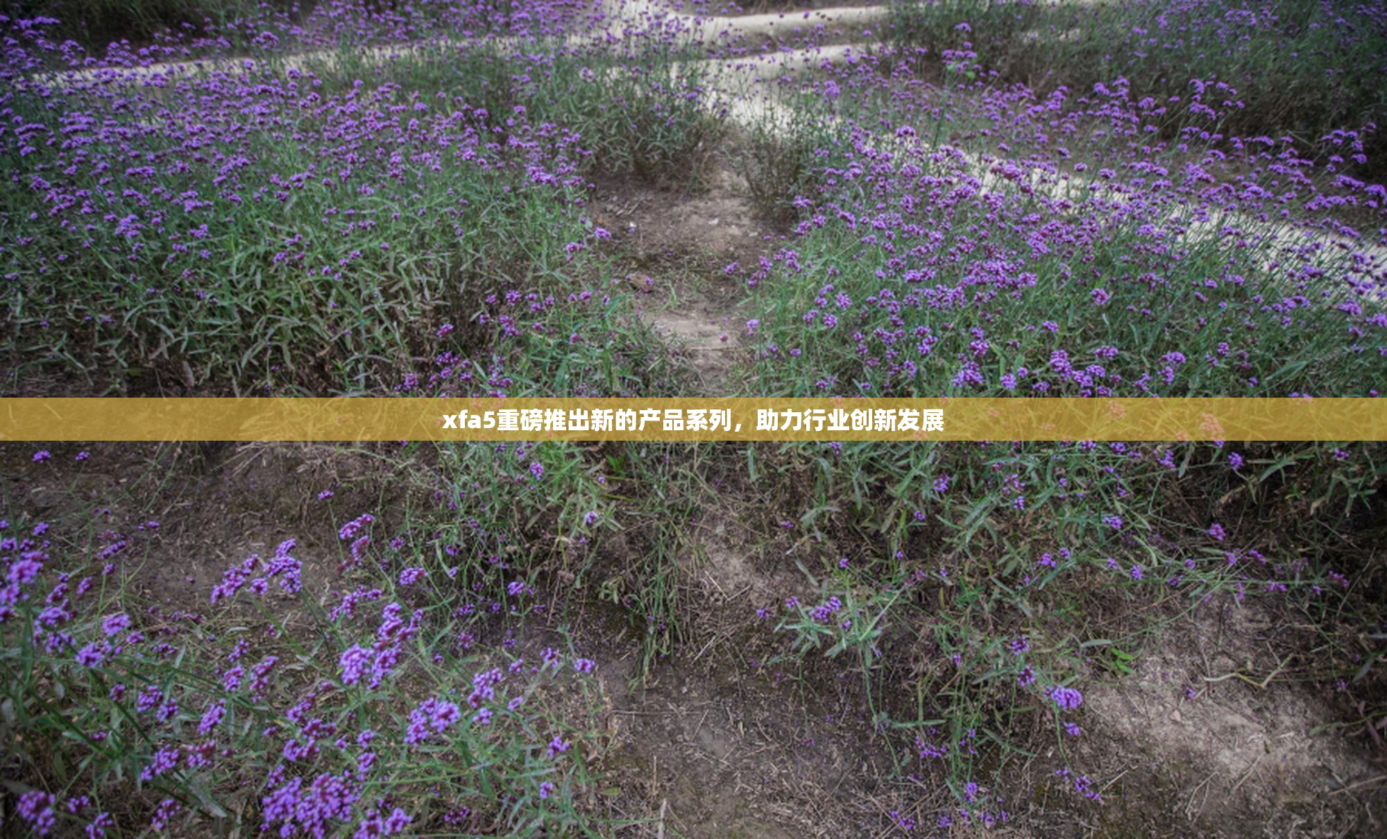 xfa5重磅推出新的产品系列，助力行业创新发展