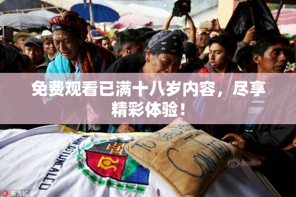 免费观看已满十八岁内容，尽享精彩体验！