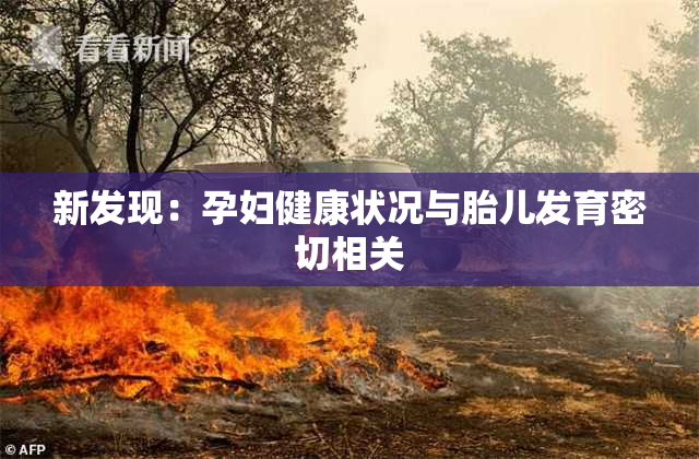 新发现：孕妇健康状况与胎儿发育密切相关