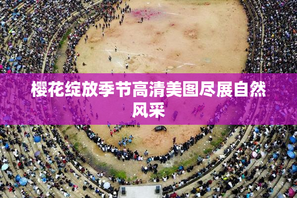 樱花绽放季节高清美图尽展自然风采
