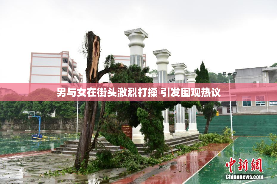 男与女在街头激烈打搡 引发围观热议