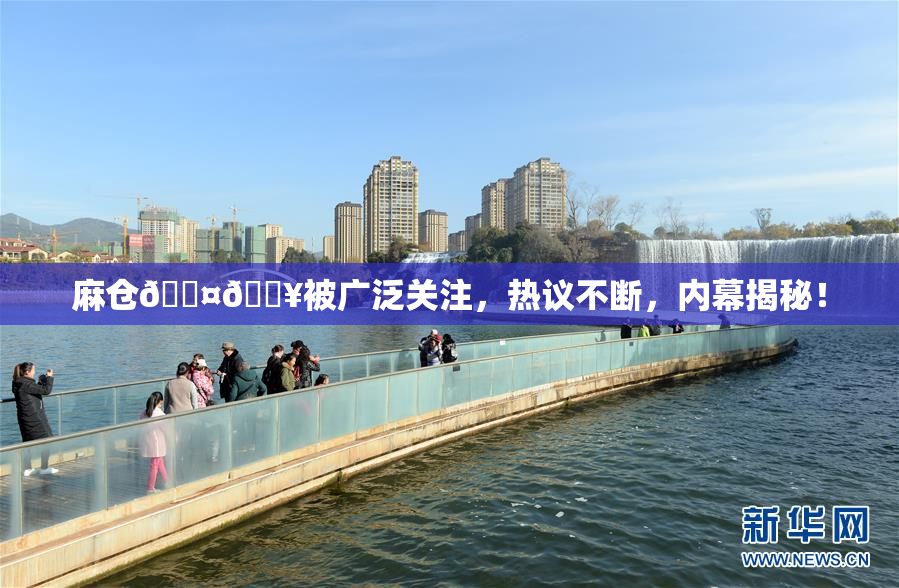 麻仓🖤🔥被广泛关注，热议不断，内幕揭秘！