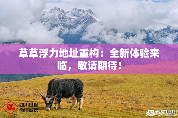 草草浮力地址重构：全新体验来临，敬请期待！