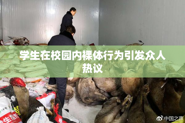 学生在校园内裸体行为引发众人热议