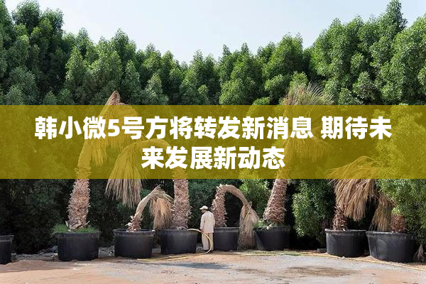 韩小微5号方将转发新消息 期待未来发展新动态