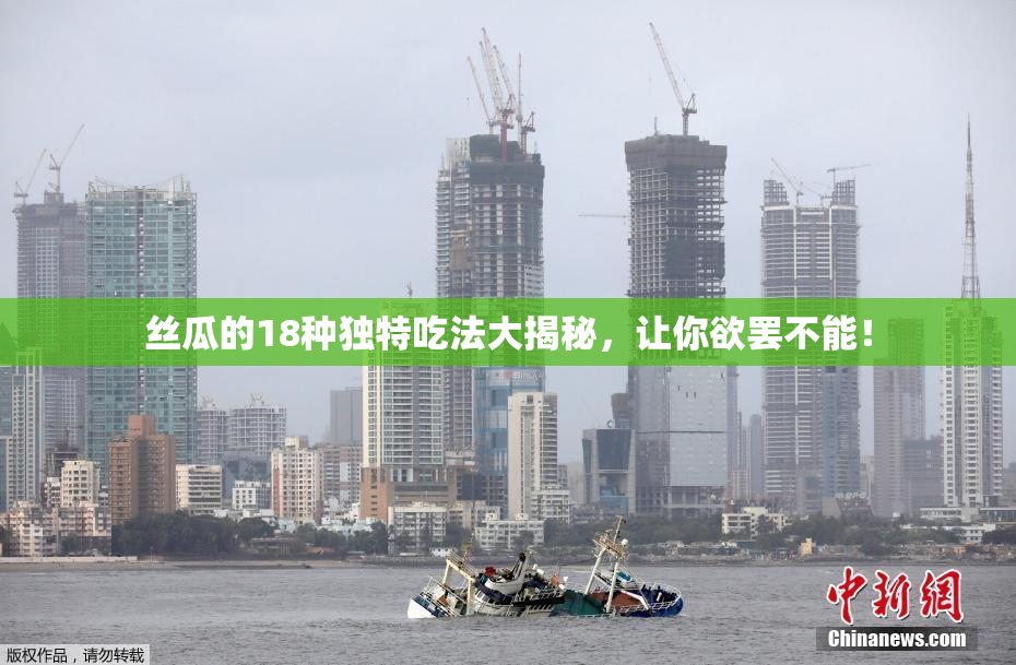 丝瓜的18种独特吃法大揭秘，让你欲罢不能！