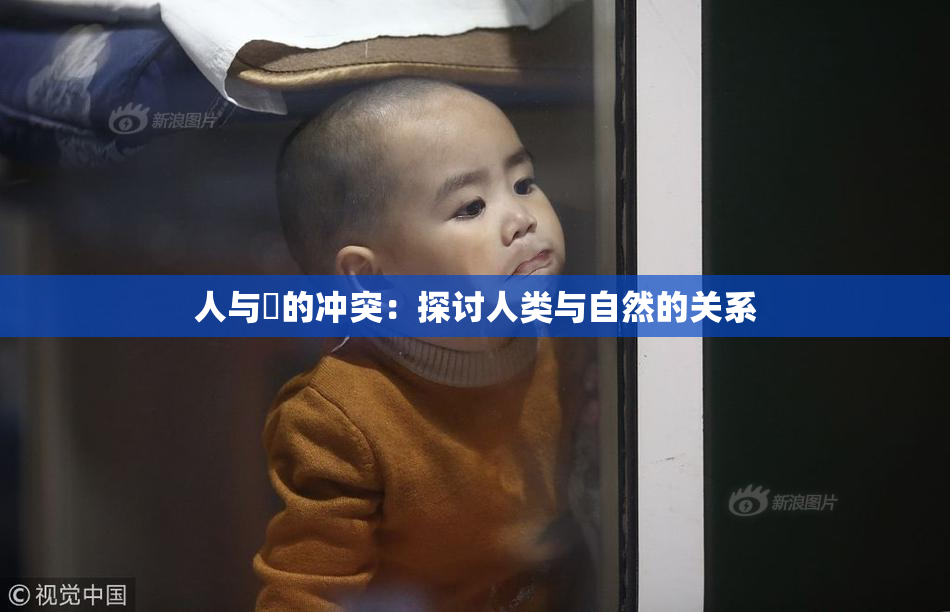 人与嘼的冲突：探讨人类与自然的关系
