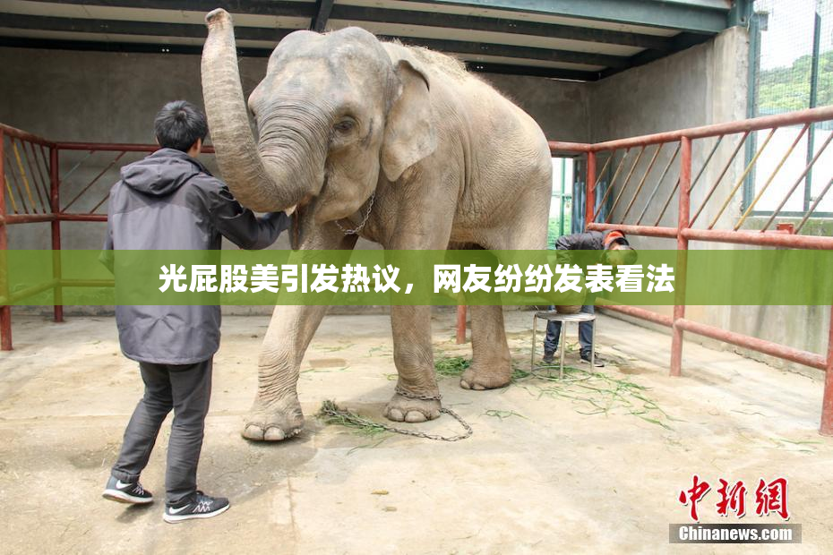 光屁股美引发热议，网友纷纷发表看法