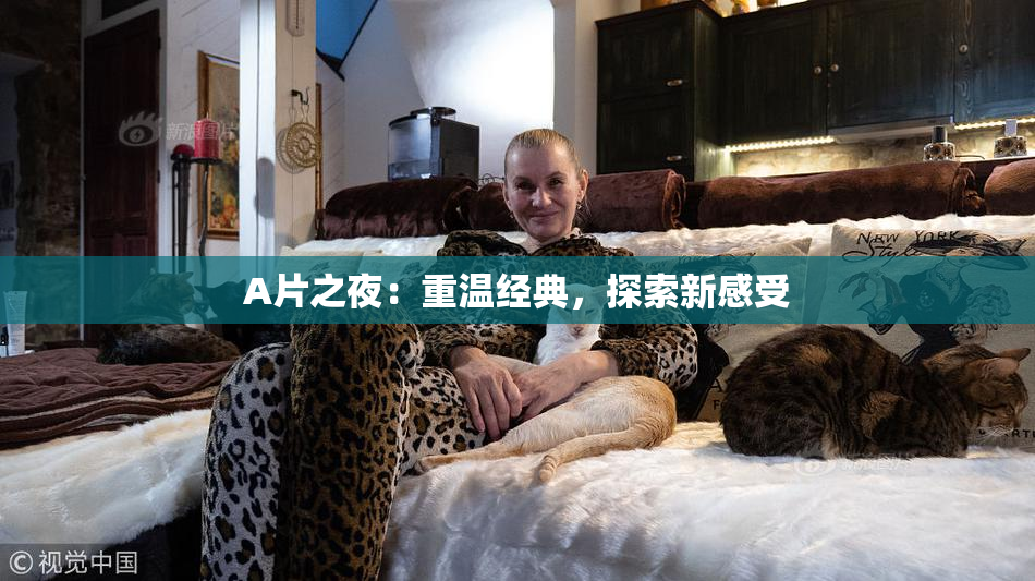 A片之夜：重温经典，探索新感受