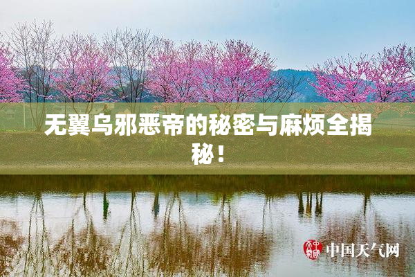 无翼乌邪恶帝的秘密与麻烦全揭秘！