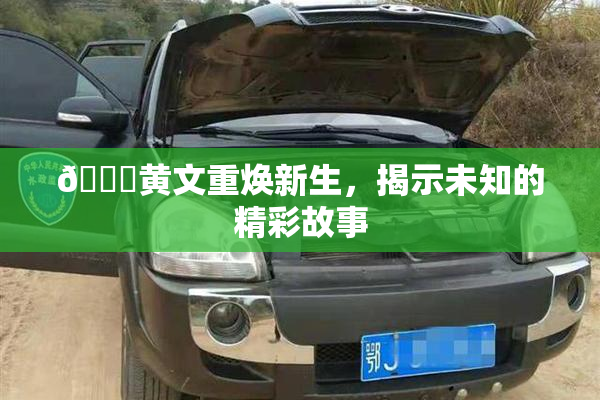 🔞黄文重焕新生，揭示未知的精彩故事