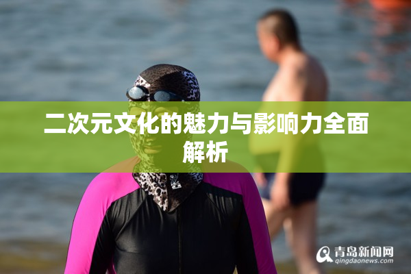 二次元文化的魅力与影响力全面解析